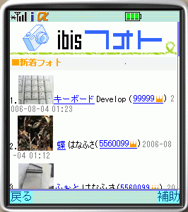 ランキングページ